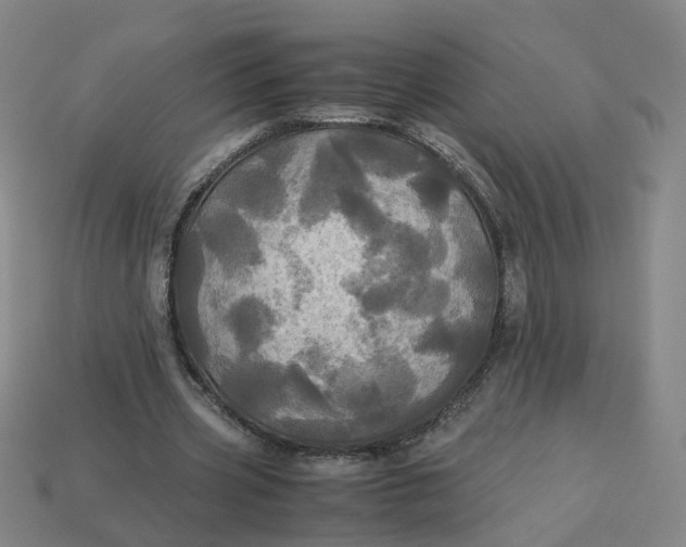 X0000113250533200910011348