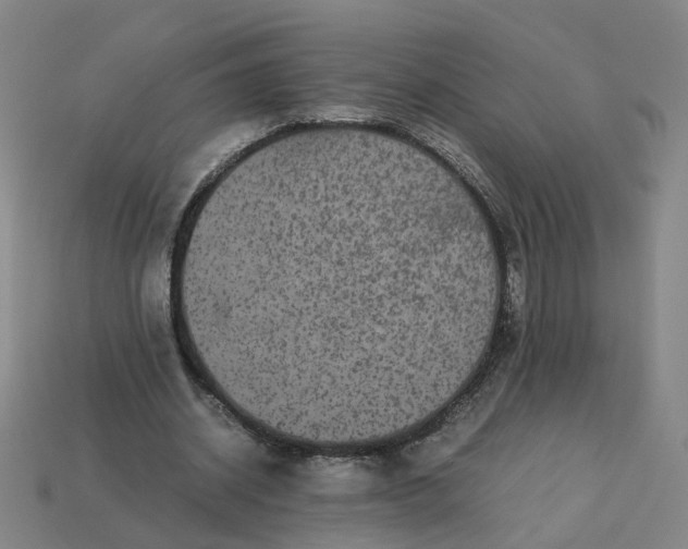 X0000113250534200910011348