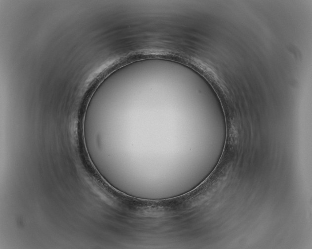 X0000113250535200910011348