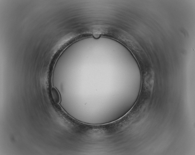 X0000113250536200910011348