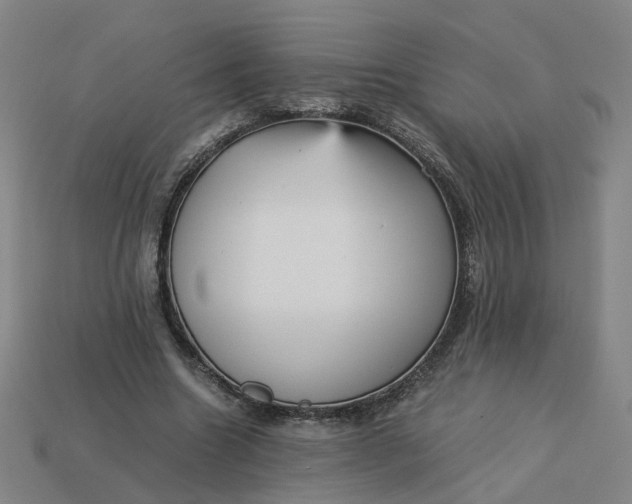 X0000113250538200910011348