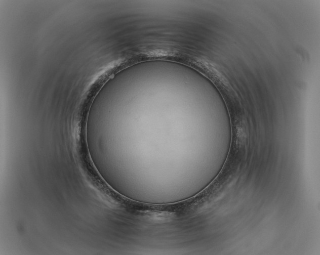 X0000113250539200910011348