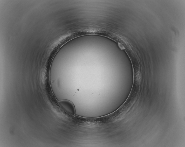 X0000113250540200910011348