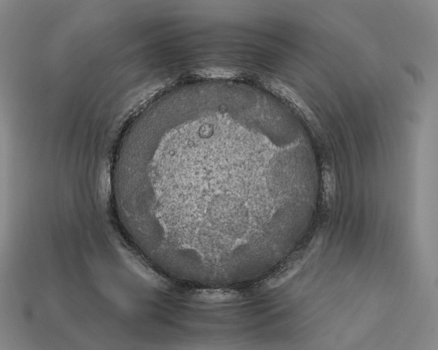 X0000113250541200910011348