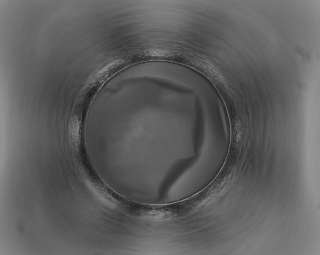 X0000113250542200910011348