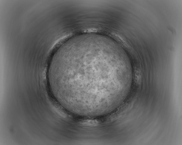 X0000113250543200910011348