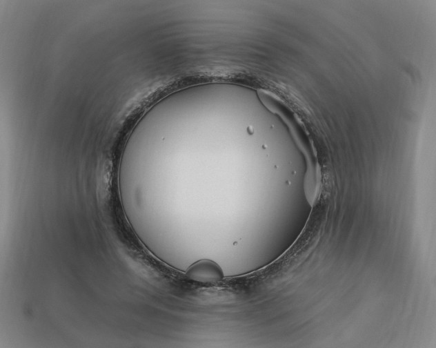 X0000113250544200910011348