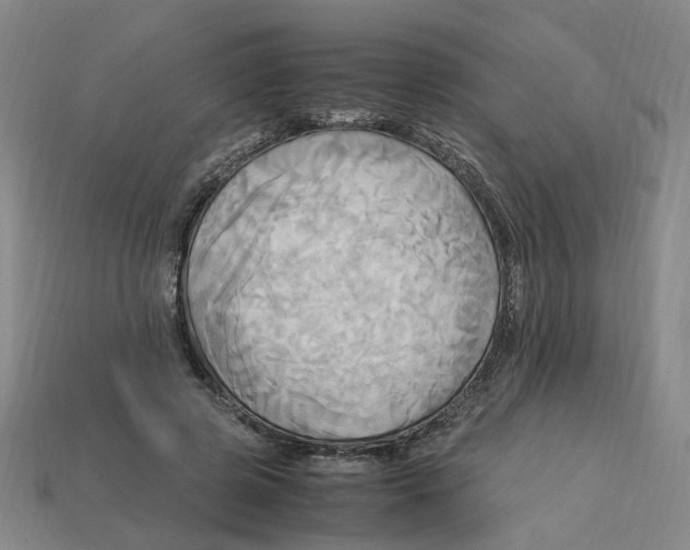 X0000113250545200910011348