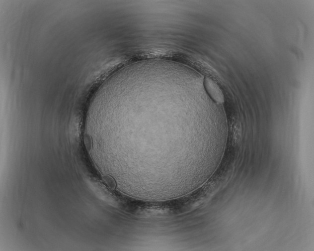 X0000113250546200910011348