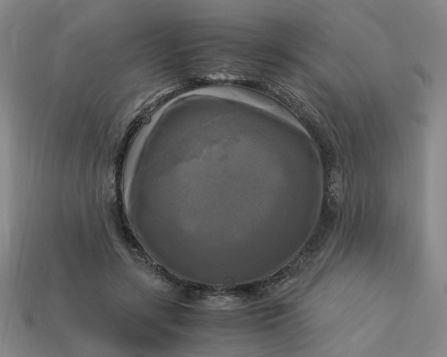 X0000113250547200910011348