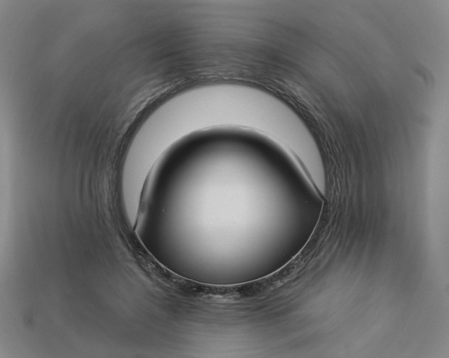 X0000113250548200910011348