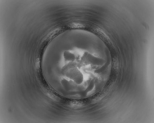 X0000113250549200910011348