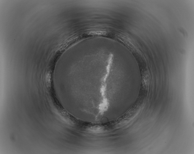 X0000113250551200910011348