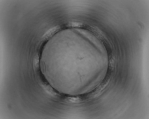 X0000113250552200910011348