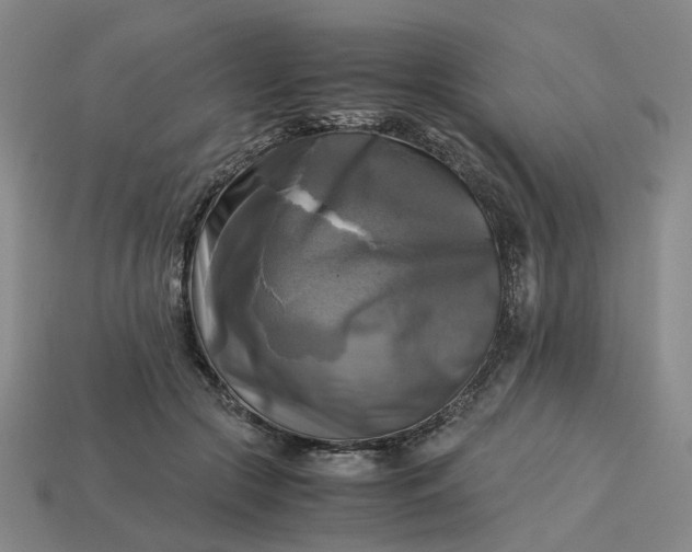 X0000113250553200910011348