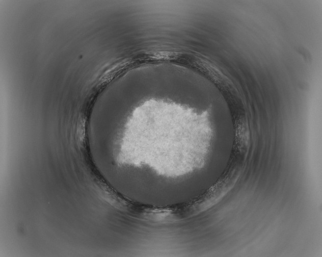 X0000113250554200910011348