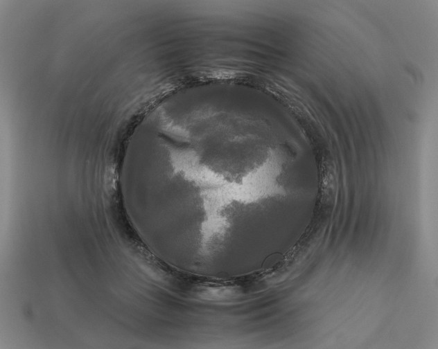 X0000113250555200910011348