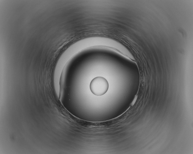 X0000113250556200910011348