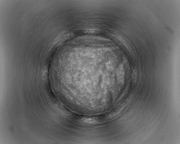 X0000113250557200910011348