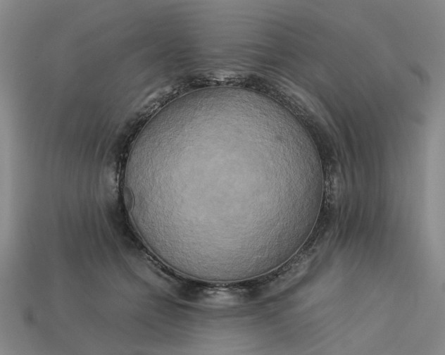 X0000113250558200910011348