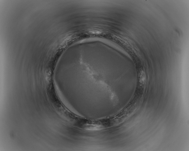 X0000113250559200910011348