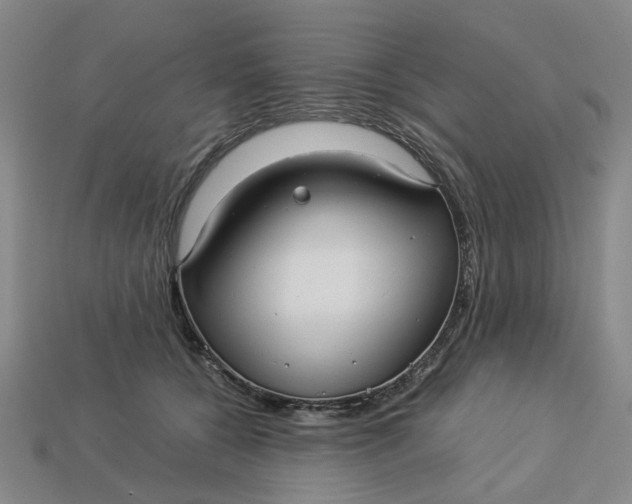 X0000113250560200910011348