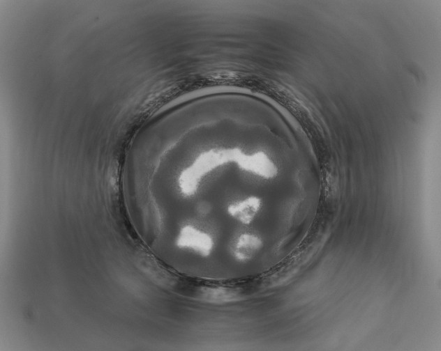 X0000113250561200910011348