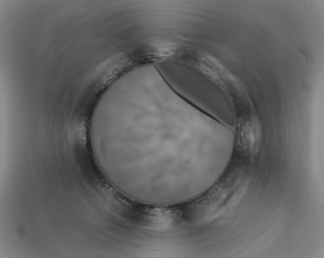 X0000113250562200910011348