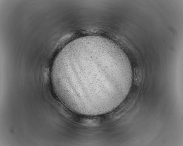 X0000113250563200910011348