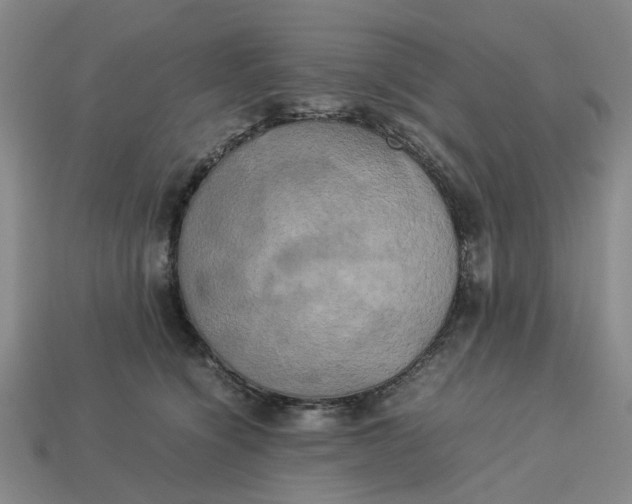 X0000113250564200910011348