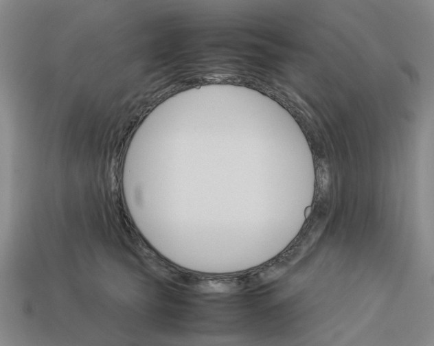 X0000113250565200910011348