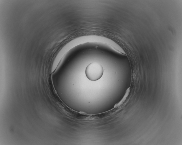 X0000113250566200910011348