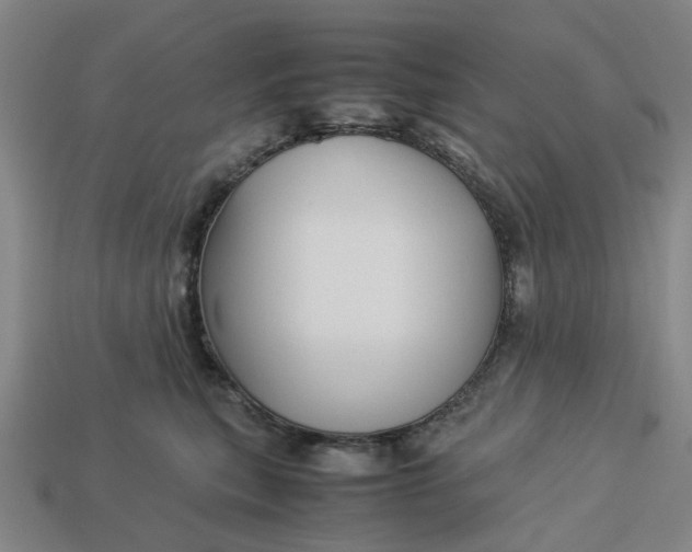 X0000113250567200910011348