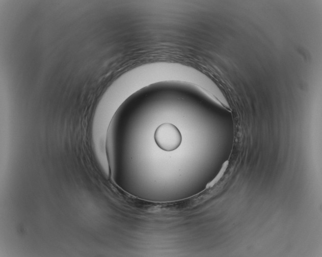 X0000113250568200910011348