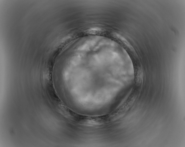 X0000113250569200910011348