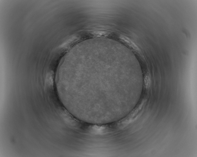 X0000113250570200910011348