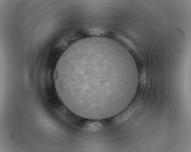 X0000113250572200910011348