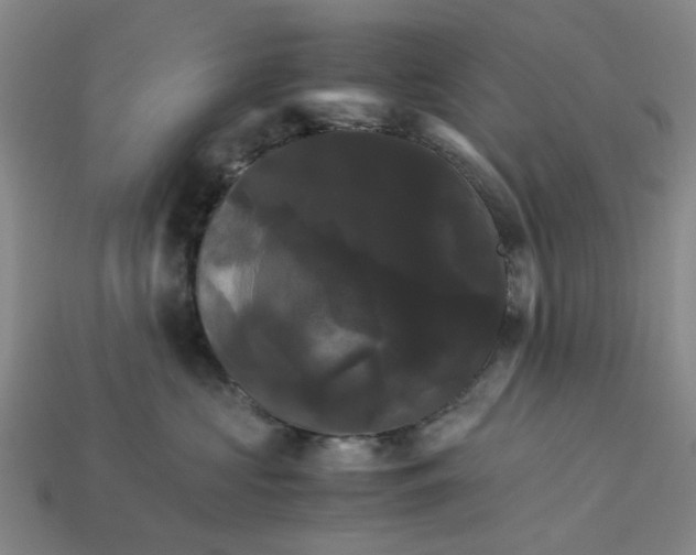 X0000113250573200910011348