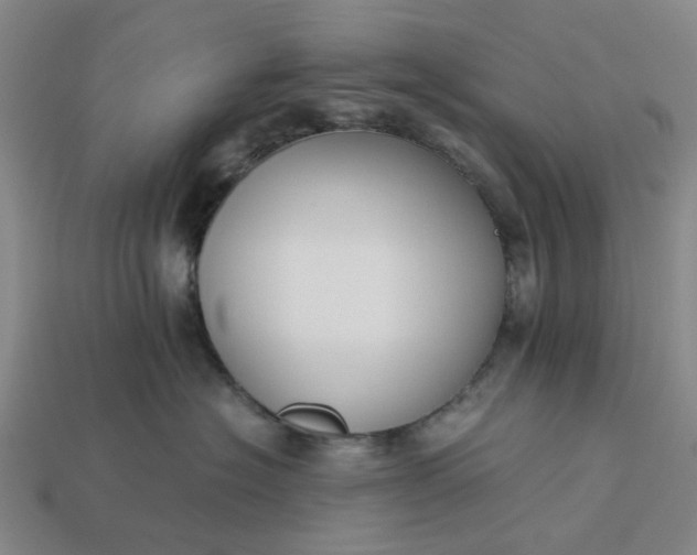 X0000113250574200910011348