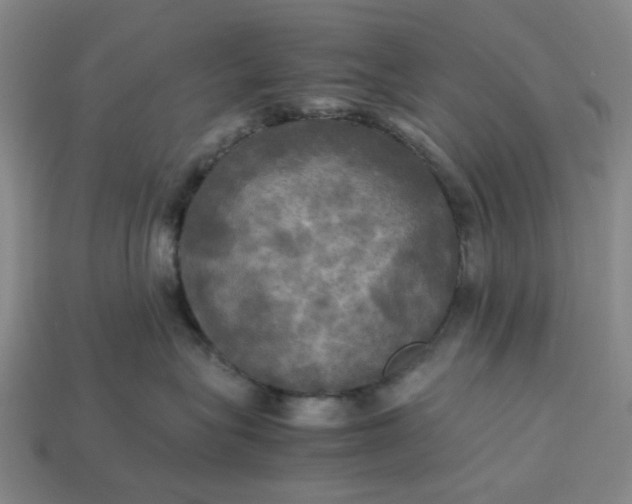 X0000113250575200910011348