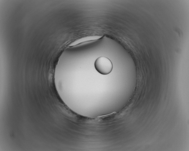 X0000113250576200910011348