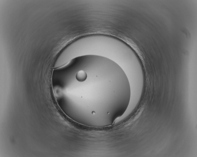 X0000113250577200910011348