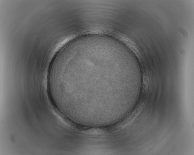 X0000113250578200910011348