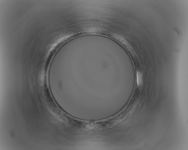 X0000113250579200910011348