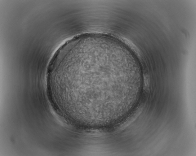 X0000113250580200910011348