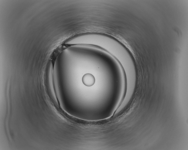 X0000113250581200910011348