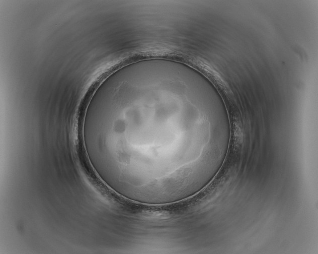 X0000113250582200910011348