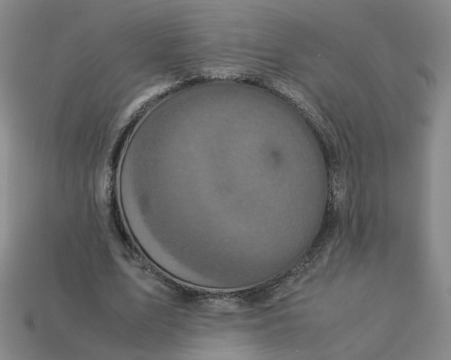 X0000113250583200910011348