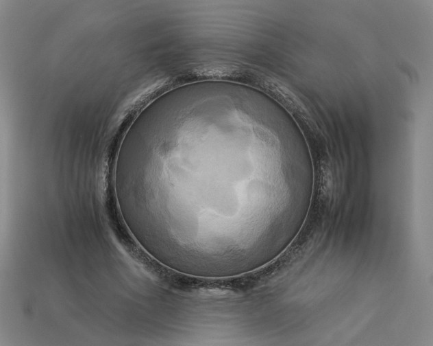 X0000113250586200910011348