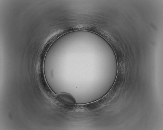 X0000113250587200910011348